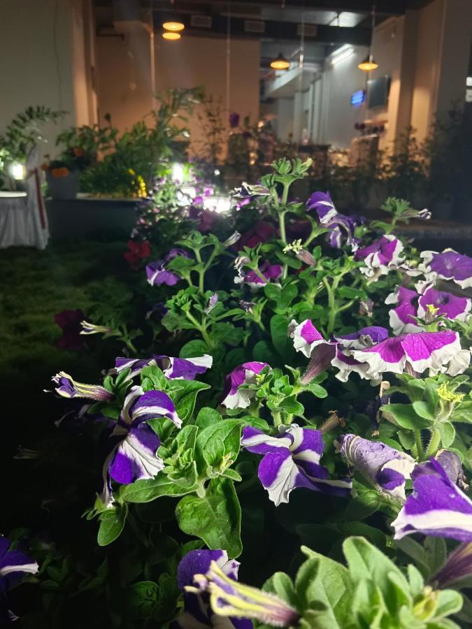 Hotel Ridley International Digha  Dış mekan fotoğraf