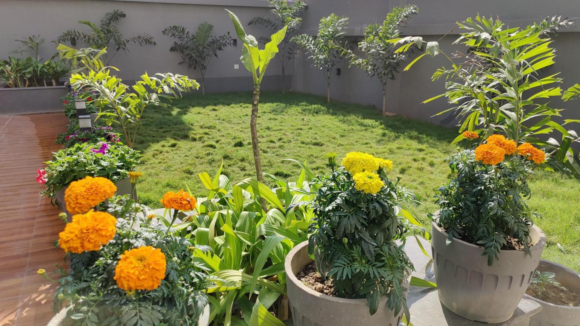 Hotel Ridley International Digha  Dış mekan fotoğraf